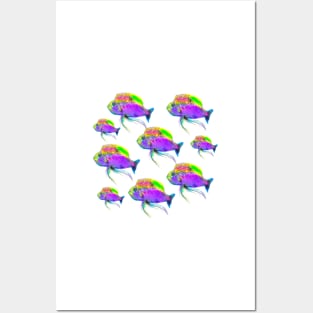 Colorful Fish Pattern Posters and Art